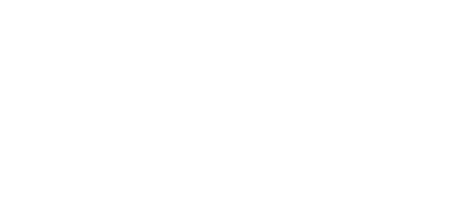 Paragon Pro